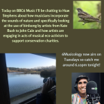 BBC6 Music Birdsong